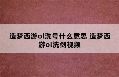 造梦西游ol洗号什么意思 造梦西游ol洗剑视频